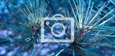 Masacre en Titiribí: Ajuste de cuentas entre bandas del Suroeste de Antioquia deja tres muertos