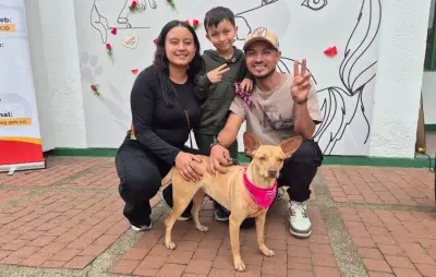 Medusa y seis animales más encuentran hogar en emotiva jornada de adopción por San Valentín en Bogotá