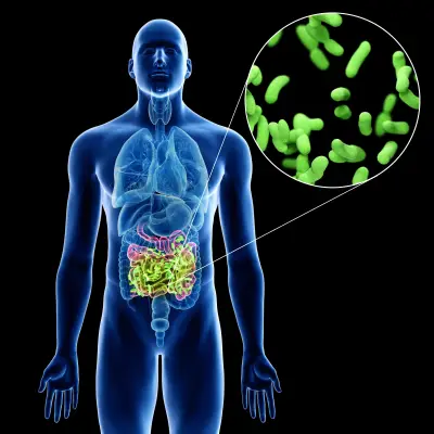 Microbiota: la clave de tu salud intestinal y cómo cuidarla con probióticos y prebióticos