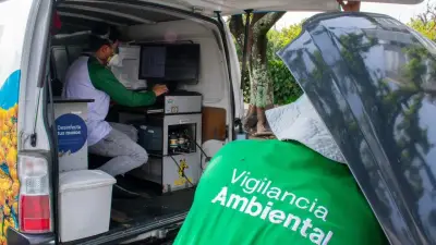 Murió 'Tigrilla Lanuda' rescatada en cerro tutelar de Medellín: luchó hasta el último minuto