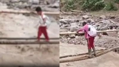 Niños en Tolima arriesgan sus vidas cruzando río sobre palos para llegar al colegio