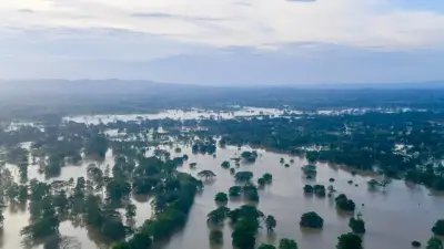 Ola invernal deja más de 4.000 reses muertas en el Caribe, precios de la carne subirán