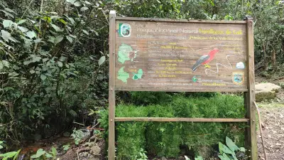 Parques Nacionales ordena demolición de casa ilegal en zona rural de Cali por daños ambientales