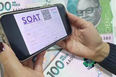 Proyecto de ley busca incluir atención veterinaria en la cobertura del SOAT para 2026