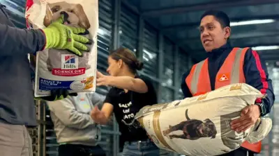 Senadora Andrea Padilla entrega 3,2 toneladas de ayuda para animales afectados por inundaciones en Córdoba