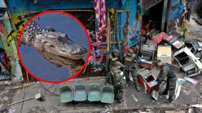 Sobreviviente del antiguo Bronx revela la verdad: 'Pepe el Cocodrilo' fue real