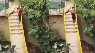 Sorprenden a hombre arrojando escombros a quebrada en Medellín, todo quedó grabado