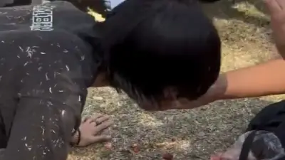 Therian captado comiendo croquetas de perro en México: video viral supera 890 mil reproducciones