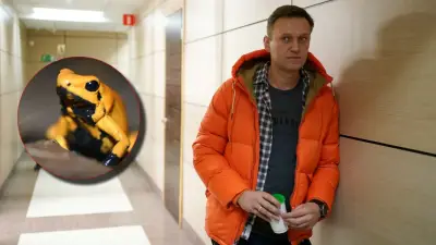 Toxina Epibatidina: el arma química que Rusia usó para asesinar a Navalni