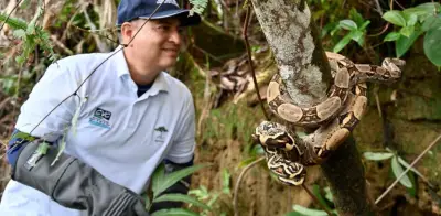 Triple alianza en el Valle del Cauca convierte cámaras trampa en escudo contra crimen ambiental