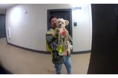 Un gesto de gratitud en Dallas se transforma en ola de solidaridad para trabajadora