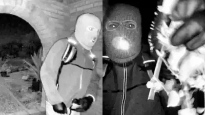 Videos revelan al presunto secuestrador de la madre de presentadora estadounidense Savanahh Guthrie