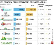 Caída del dólar y aumento del salario mínimo afectan rentabilidad de flores para San Valentín