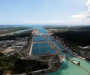 Canal de Panamá registra aumento del 3,8% en tránsito de buques durante enero de 2026