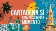Cartagena Sí: El movimiento que transforma el orgullo en acción ciudadana cotidiana