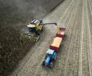 Colas de 30 km en Brasil: camiones con soja esperan días en puerto por cosecha récord