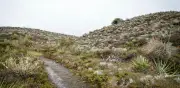 Conservación Internacional Colombia impulsa protección de páramos y agua en Bogotá y Cundinamarca