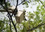 Corte de servicios públicos en Cali: 10 barrios sin agua y luz este jueves