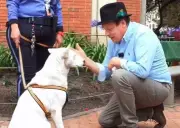 Don Jediondo conmueve al rescatar a perrita Kiara en parque de Bosa, Bogotá