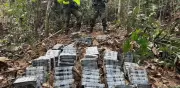 Ejército destruye laboratorio de cocaína del Clan del Golfo en Santander y evita salida de más de un millón de dosis