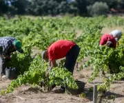 El salario mínimo español supera el 60% del sueldo medio en 46 provincias