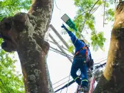 Emcali repara luminaria en barrio Morichal de Cali tras denuncia ciudadana por inseguridad