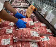 Frigoríficos uruguayos alertan a ganaderos sobre riesgo económico por residuos veterinarios