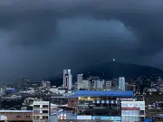 Fuerte aguacero en Cali derriba árbol en San Antonio y causa inundaciones en múltiples sectores