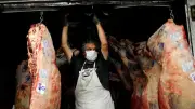 Gobierno evalúa prohibir exportación de carne bovina para contener precios en emergencia económica