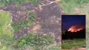 Incendio forestal arrasa 13 hectáreas en Barrancabermeja, afectando el Corredor del Jaguar Americano