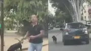Indignación en Cali por video de perro amarrado a vehículo en movimiento