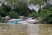 Inundaciones en Córdoba devastan ganadería y agricultura: miles de reses afectadas