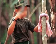 Investigación revela red de reclutamiento infantil del EMC con centro en Timba, Jamundí