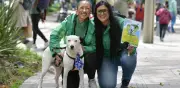 Jornada de adopción animal este domingo en Biblioteca Virgilio Barco de Bogotá