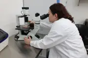 Microbióloga santandereana lidera investigación clave sobre cáncer linfático y virus Epstein-Barr
