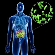 Microbiota: la clave de tu salud intestinal y cómo cuidarla con probióticos y prebióticos