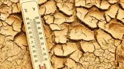 Ola de calor histórica azota EE.UU. con temperaturas 17°C sobre lo normal en febrero