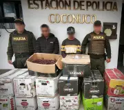 Operativo policial en Cauca captura a dos hombres por transporte ilegal de frutos silvestres