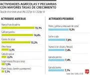 Palma, café y cacao lideran crecimiento agrícola colombiano en tercer trimestre de 2025