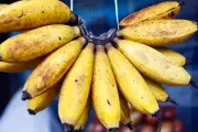 ¿Por qué colgar los bananos en la cocina ayuda a conservarlos mejor?