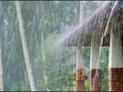 Pronóstico para Bucaramanga: Lluvias intermitentes y alta humedad este viernes