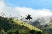 Quindío lanza campaña turística 'No me creas, vívelo' en Anato 2026 para impulsar visitas