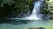Ruta de Cascadas en Antioquia: Cinco Joyas Naturales que Deslumbran a los Viajeros