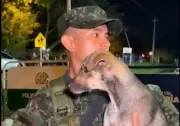 Soldado rescata y adopta perrita durante inundaciones en Córdoba