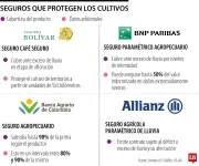 Temporada de lluvias impulsa compra de seguros agrícolas en Colombia