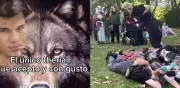 Therians en redes: entre memes virales y estigmatización de identidades animales