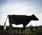 Uruguay registra récord histórico en exportaciones lácteas con US$965 millones en 2025