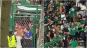 Violencia en tribunas empaña clásico entre Deportivo Cali y Millonarios en Liga BetPlay