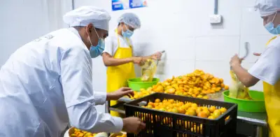 Acopi advierte que decreto de negociación colectiva afectaría desproporcionadamente a las pymes