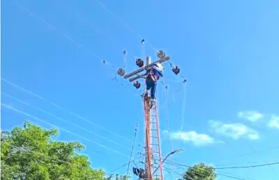 Air-e ejecutará poda técnica en Luruaco y cortes en Barranquilla por obras solares